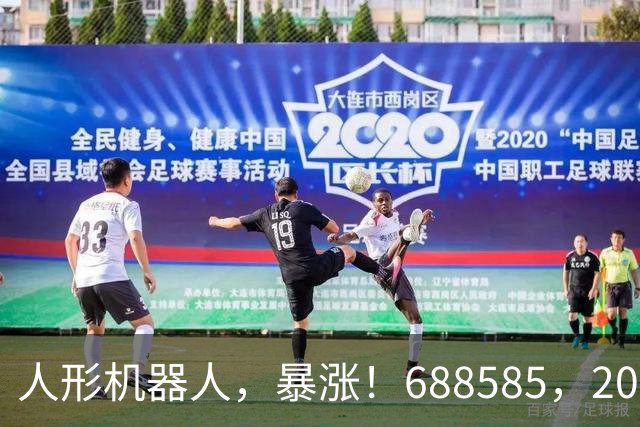 人形机器人，暴涨！688585，20cm涨停！