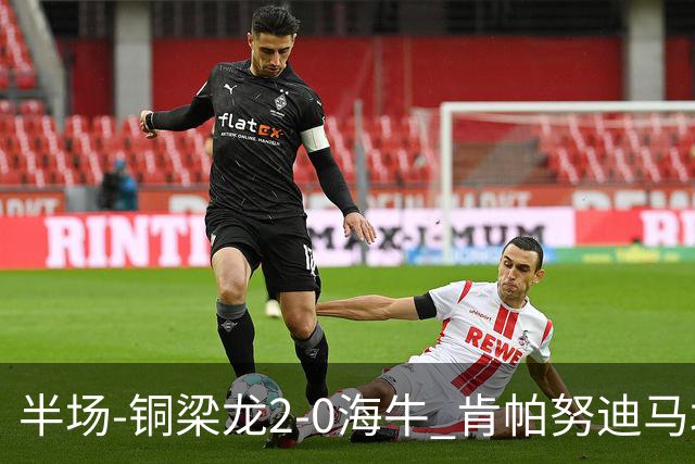 半场-铜梁龙2-0海牛 肯帕努迪马塔破门孙正傲乌龙被吹