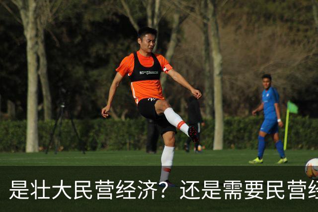 是壮大民营经济？还是需要民营经济？