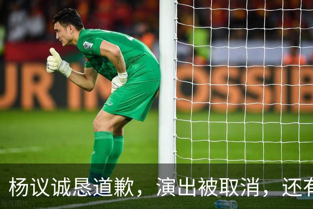杨议诚恳道歉，演出被取消，还有374万债务没还，文旅局介入核查