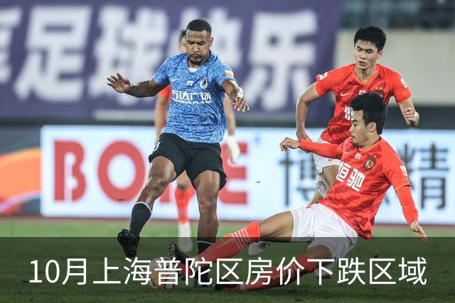 10月上海普陀区房价下跌区域