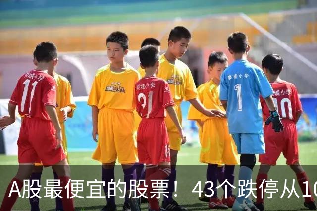 A股最便宜的股票！43个跌停从106元跌到0.07元，韭菜直接连根拔起